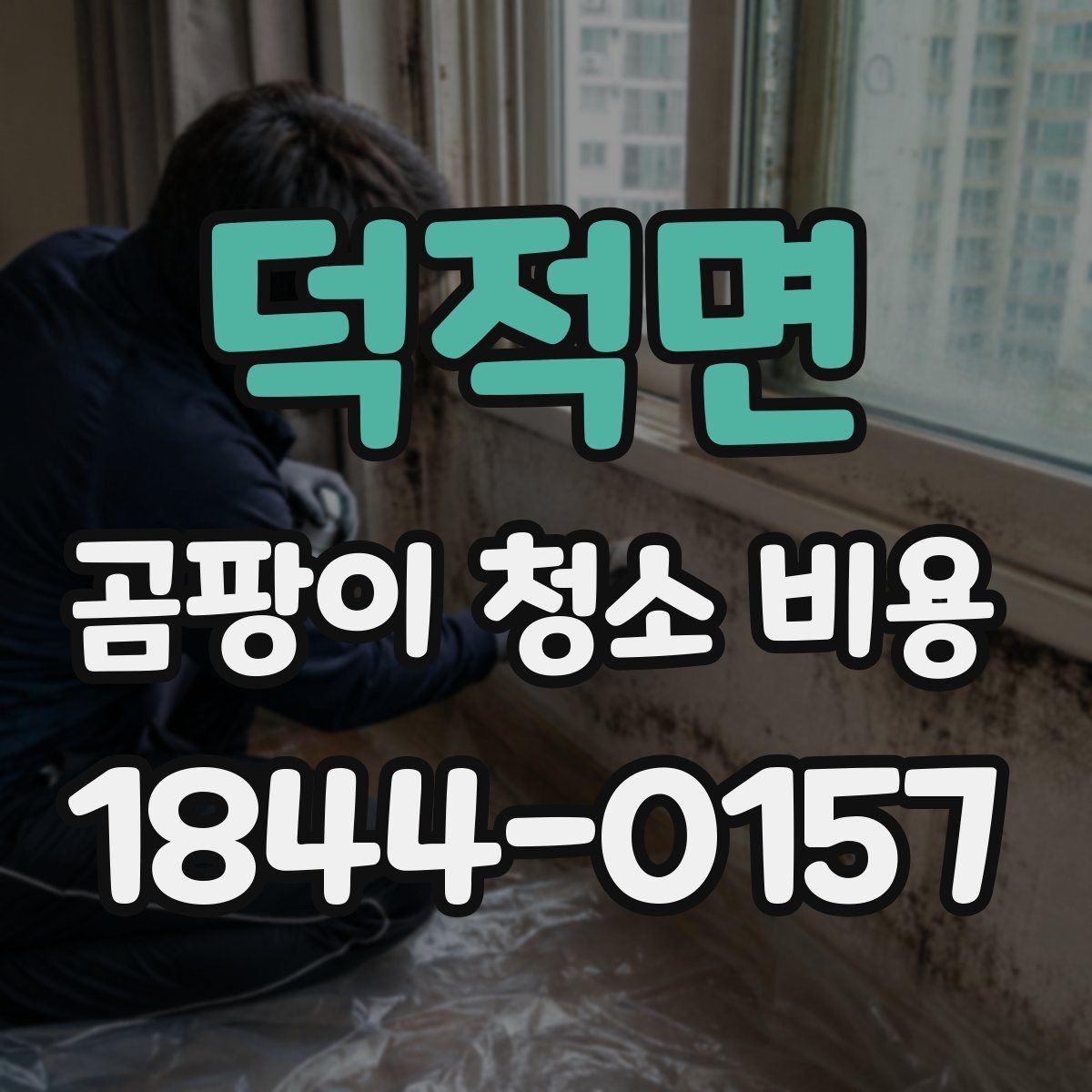 덕적면 곰팡이 청소 비용 세척과 교체 공사를 구분하는 실무 포인트