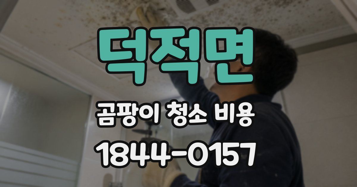 덕적면 곰팡이 청소 비용