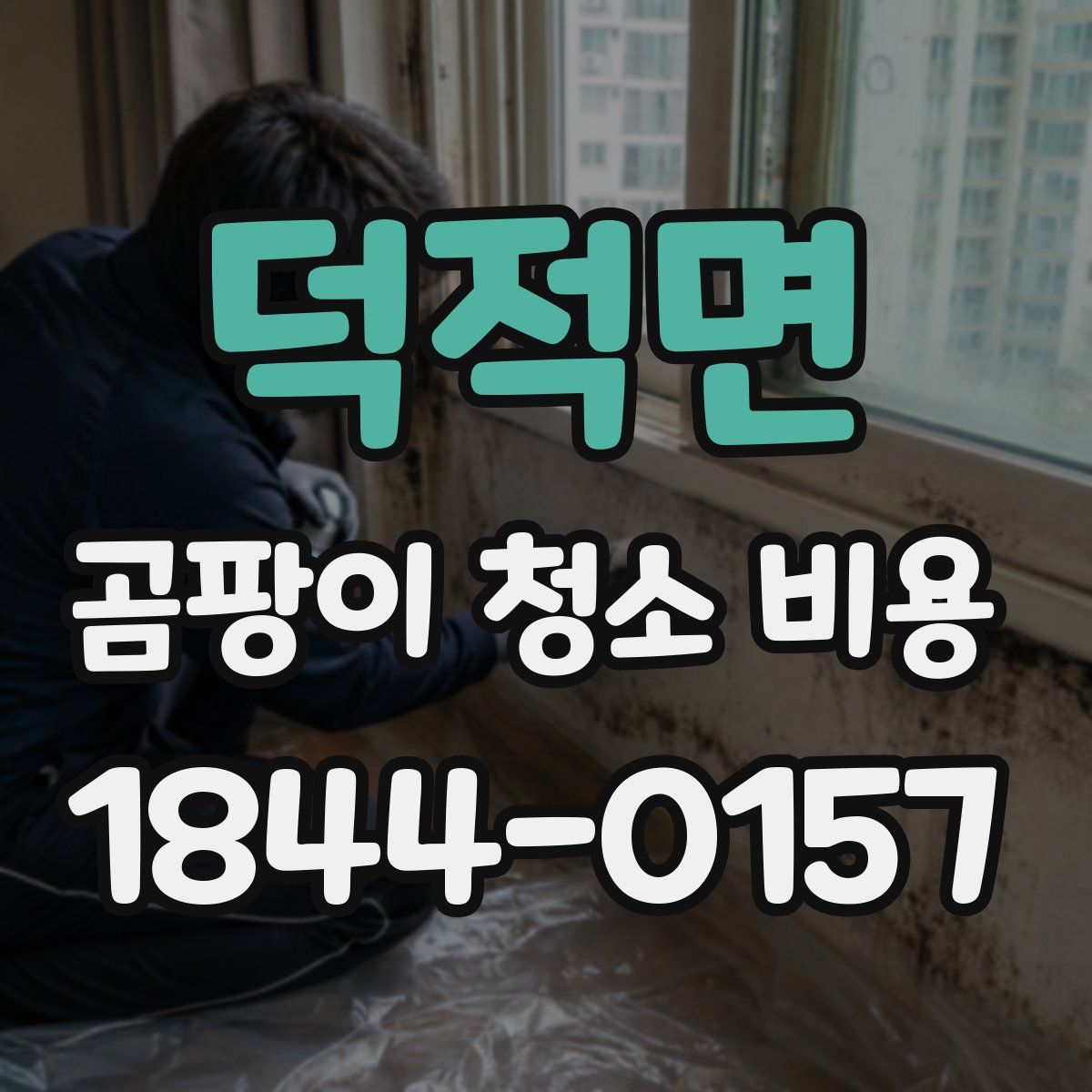 덕적면 곰팡이 청소 비용