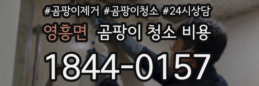 영흥면 곰팡이 청소 비용