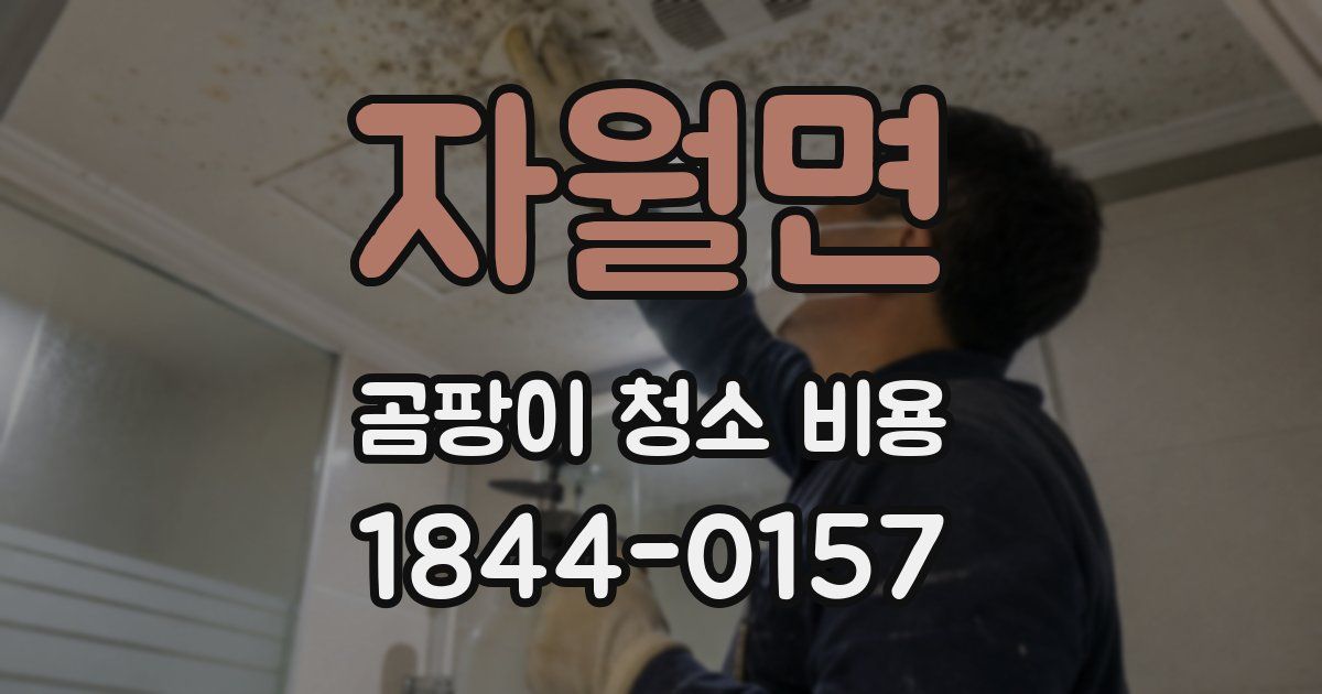 자월면 곰팡이 청소 비용