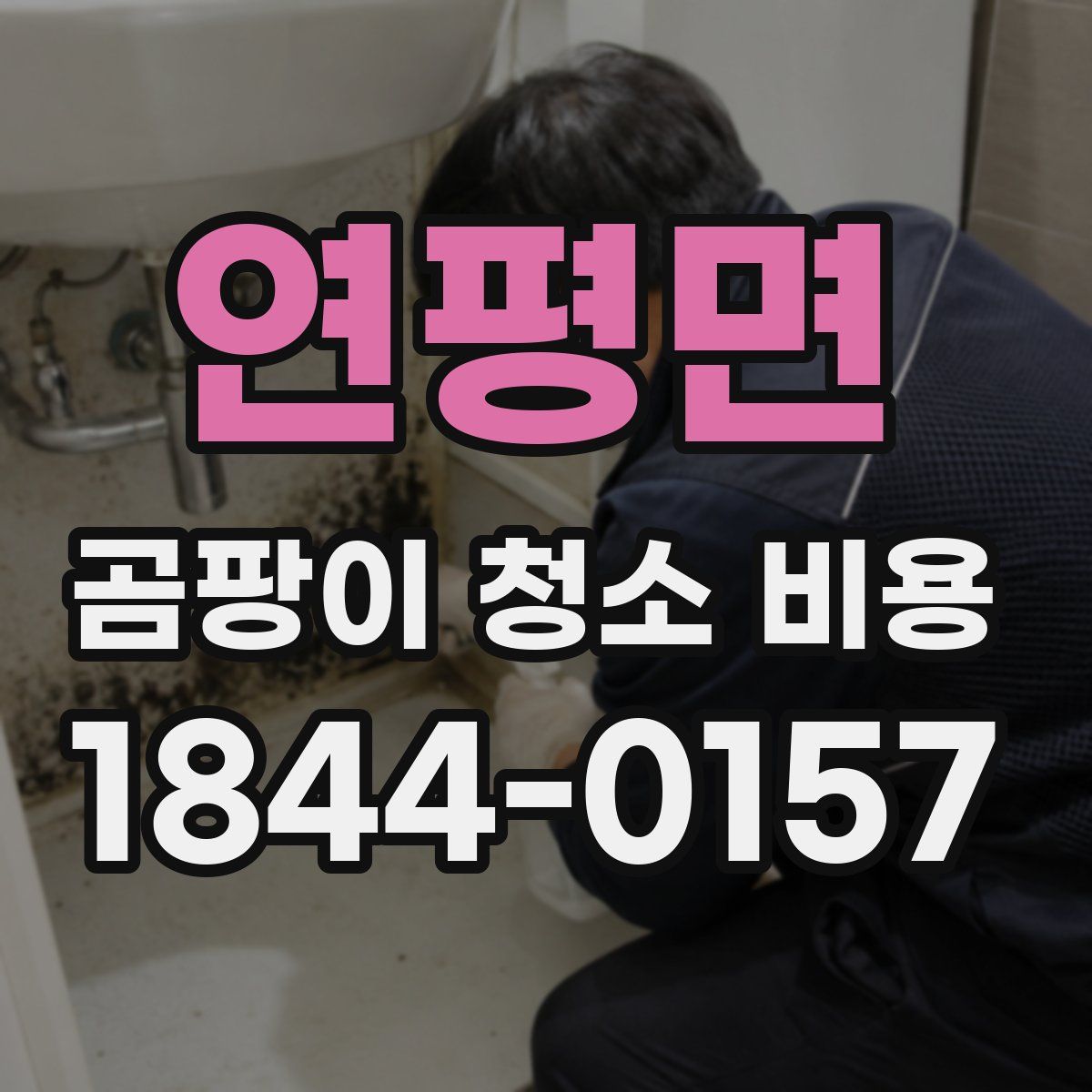 연평면 곰팡이 청소 비용