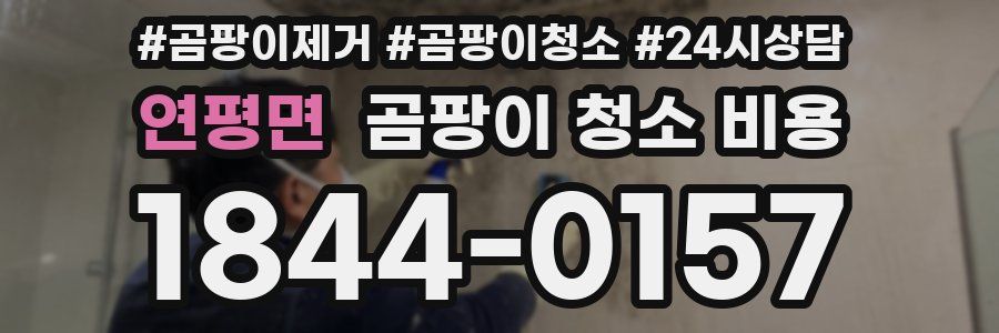 연평면 곰팡이 청소 비용