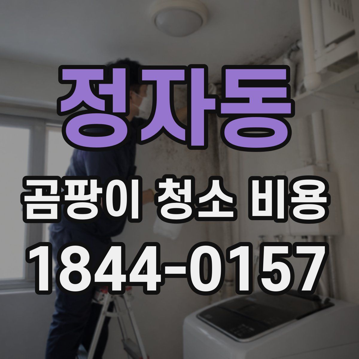 정자동 곰팡이 청소 비용