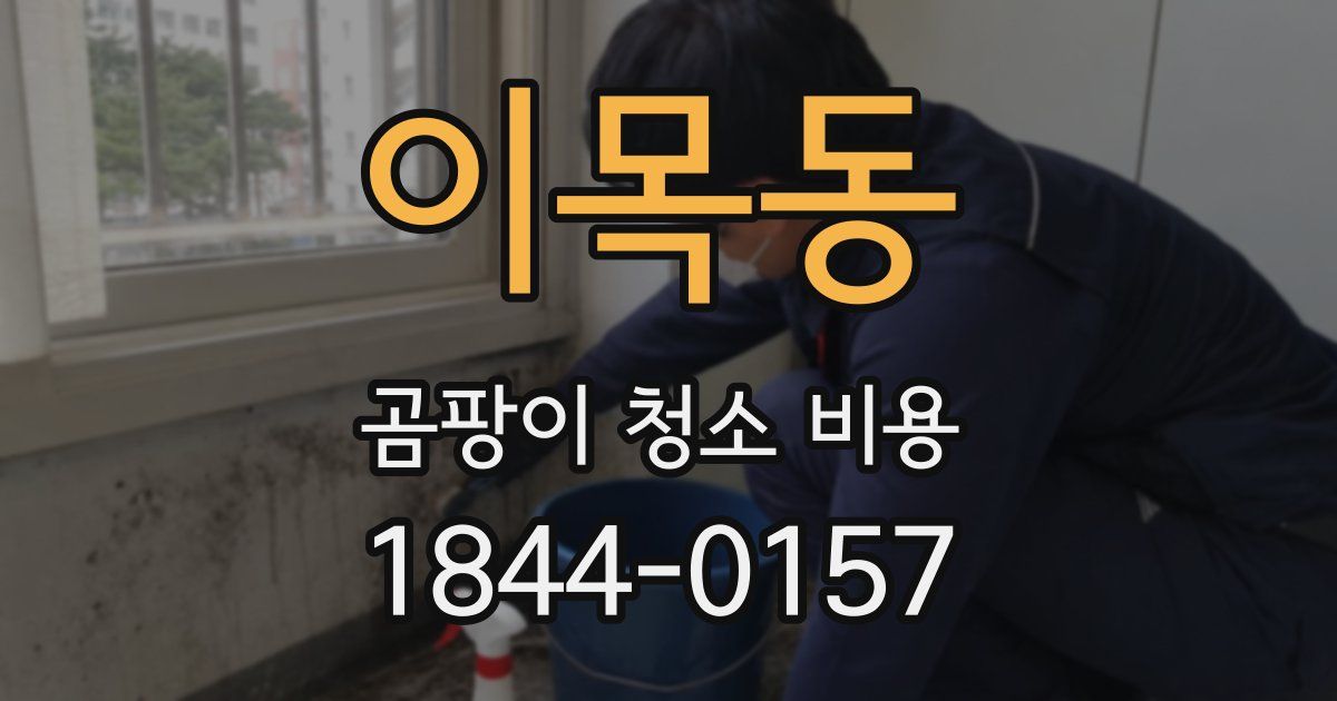 이목동 곰팡이 청소 비용