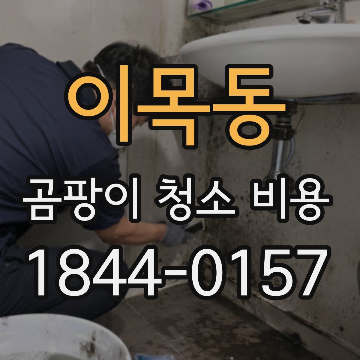 이목동 곰팡이 청소 비용