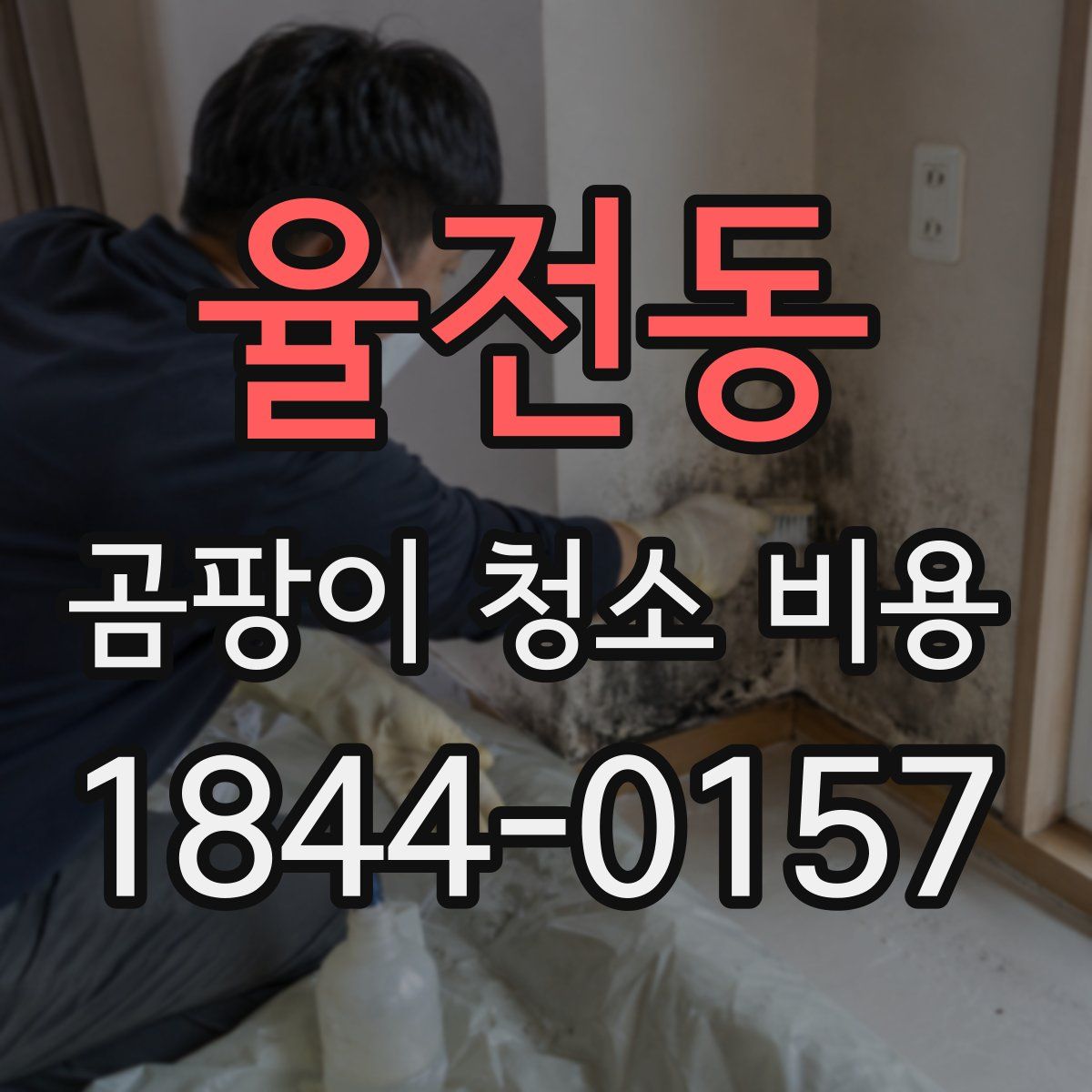 율전동 곰팡이 청소 비용