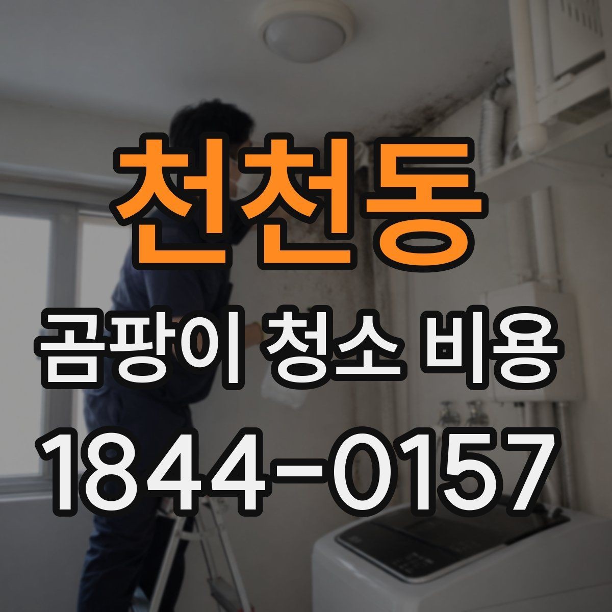 천천동 곰팡이 청소 비용 벽지 손상 여부에 따라 달라지는 범위
