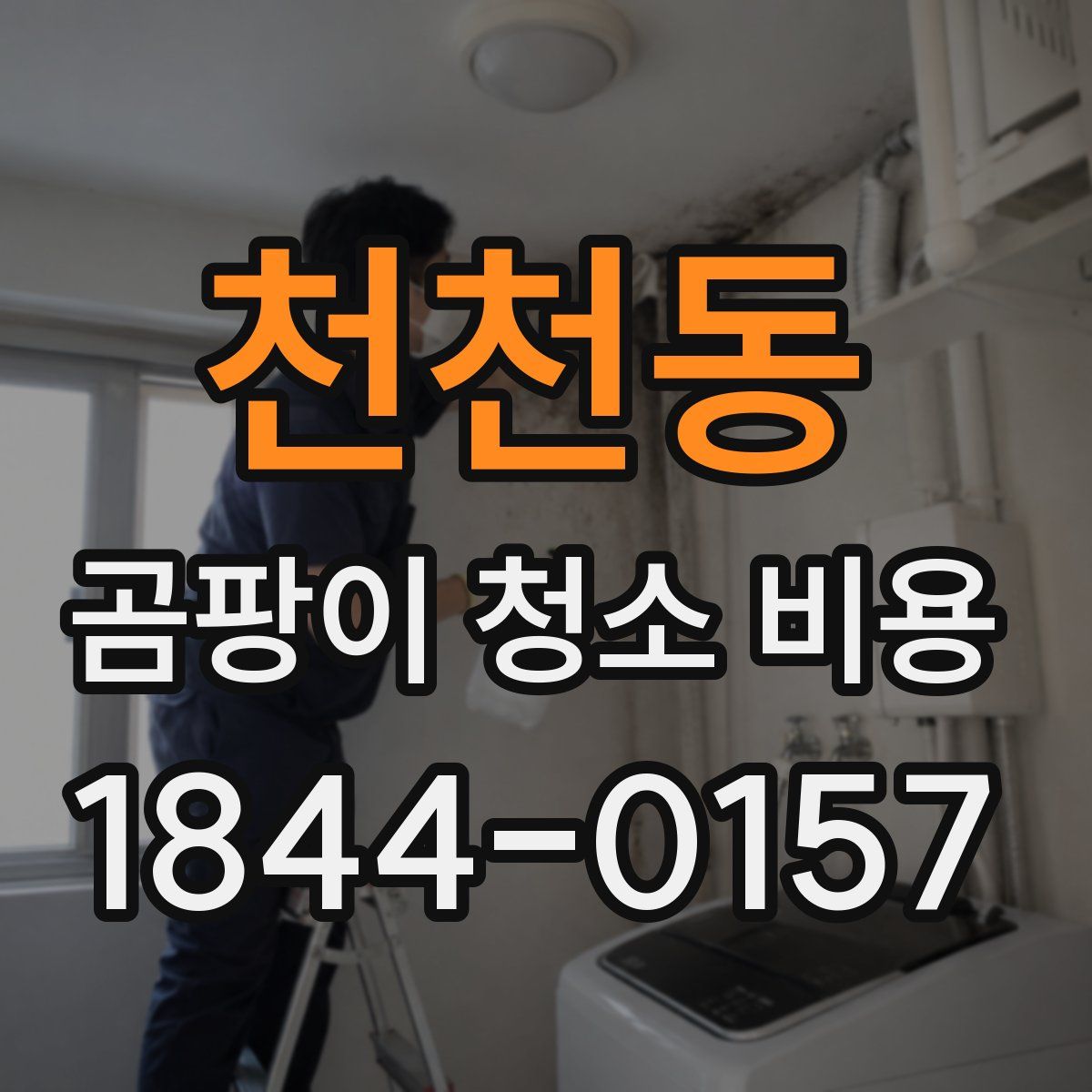 천천동 곰팡이 청소 비용