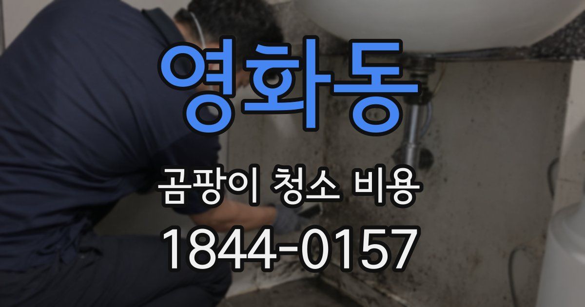영화동 곰팡이 청소 비용