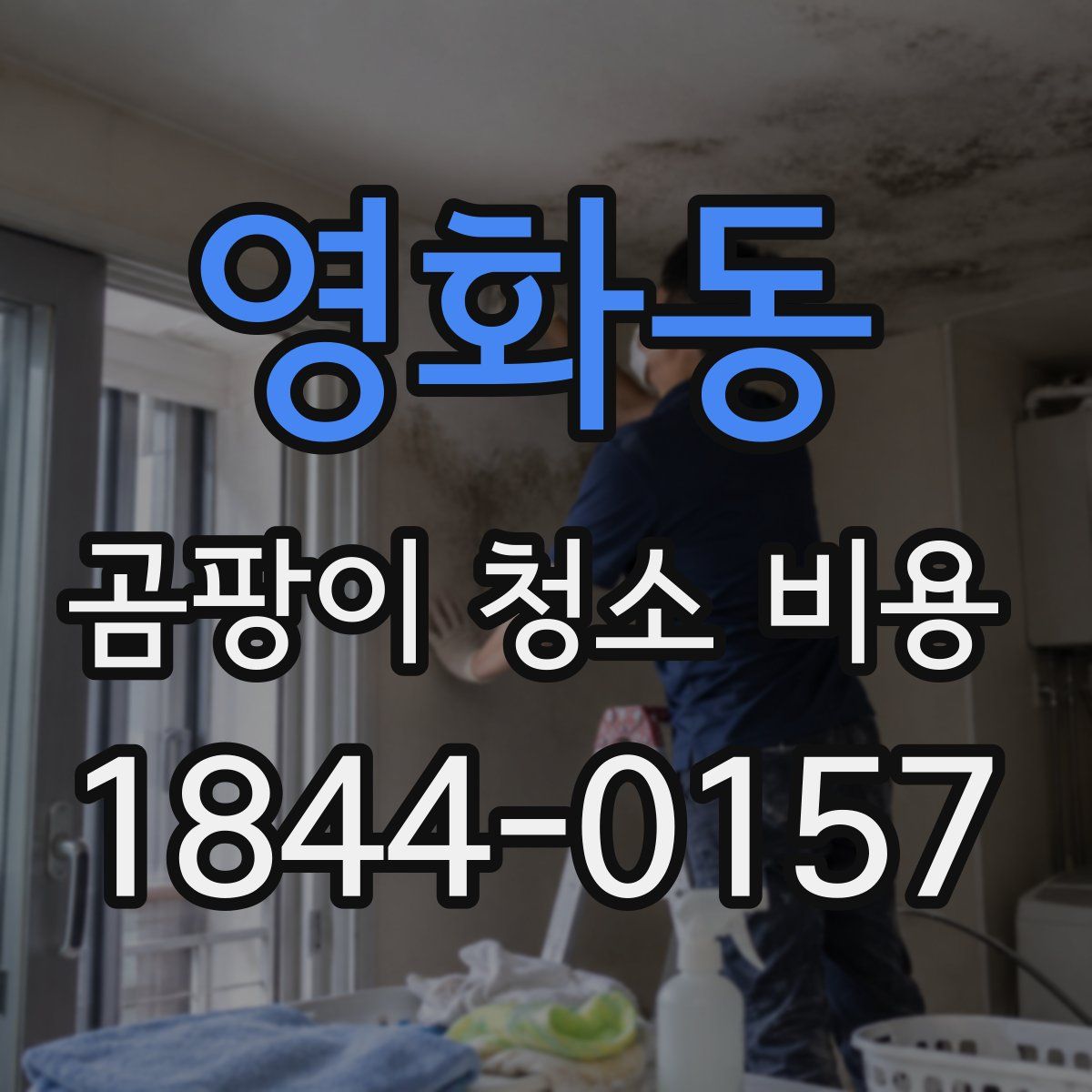 영화동 곰팡이 청소 비용