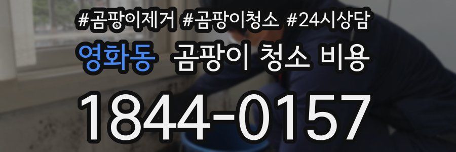 영화동 곰팡이 청소 비용