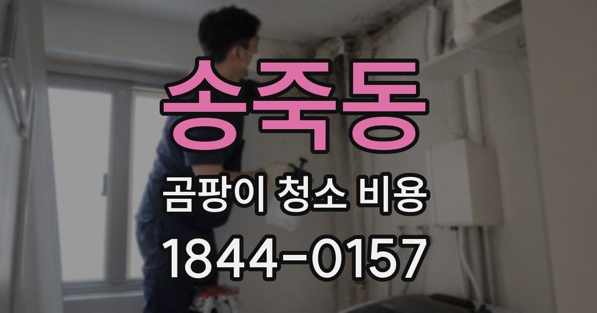 송죽동 곰팡이 청소 비용