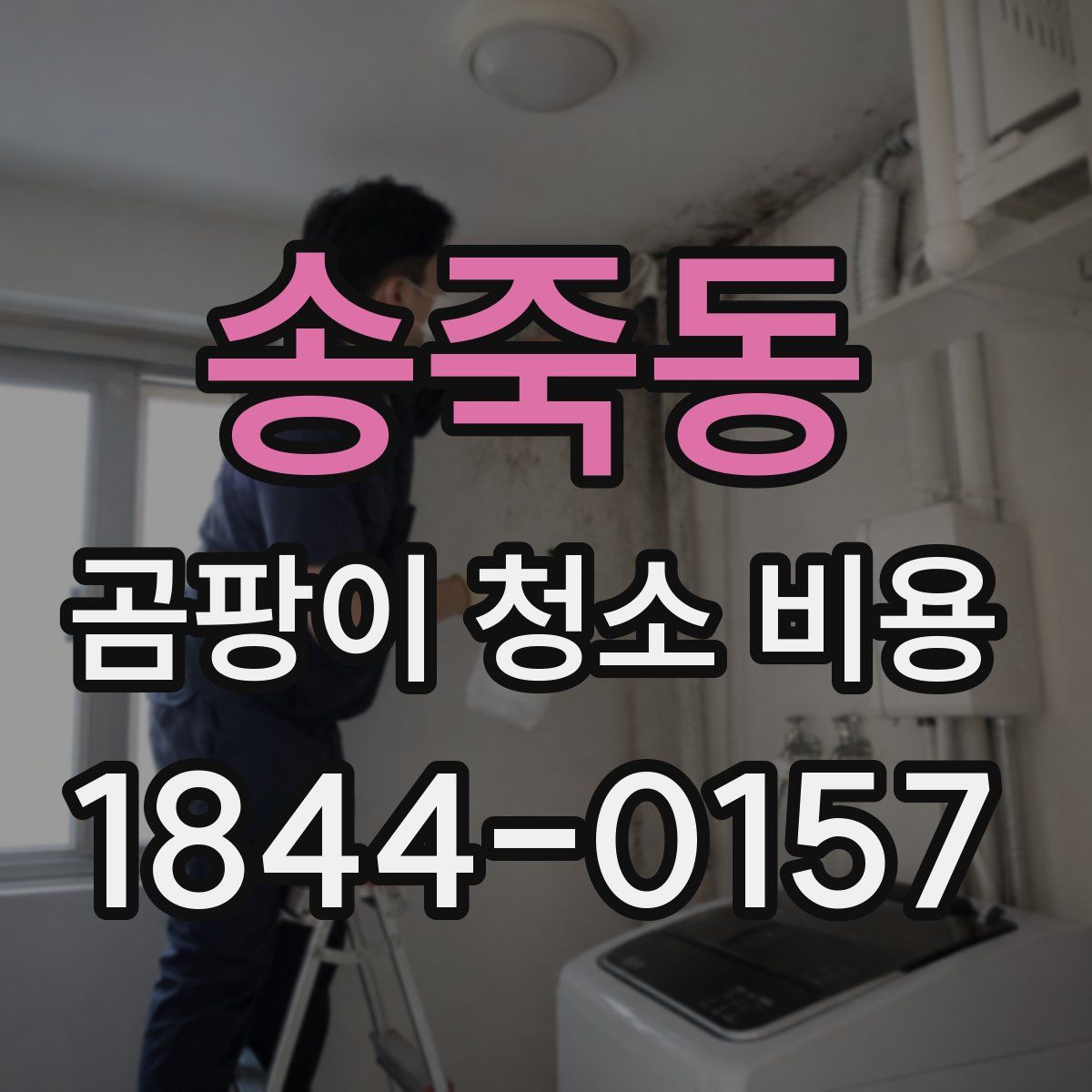 송죽동 곰팡이 청소 비용