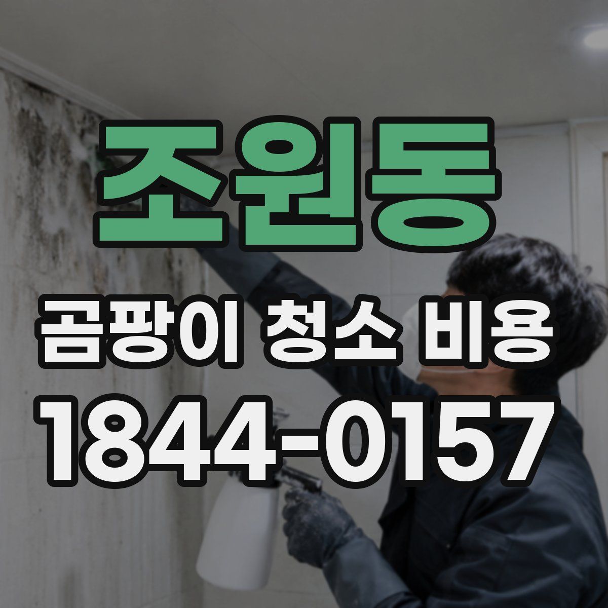 조원동 곰팡이 청소 비용