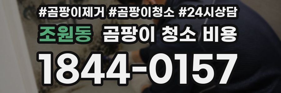 조원동 곰팡이 청소 비용