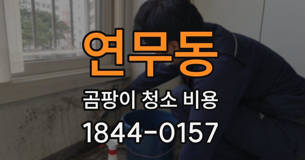 연무동 곰팡이 청소 비용