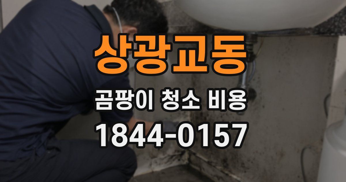 상광교동 곰팡이 청소 비용