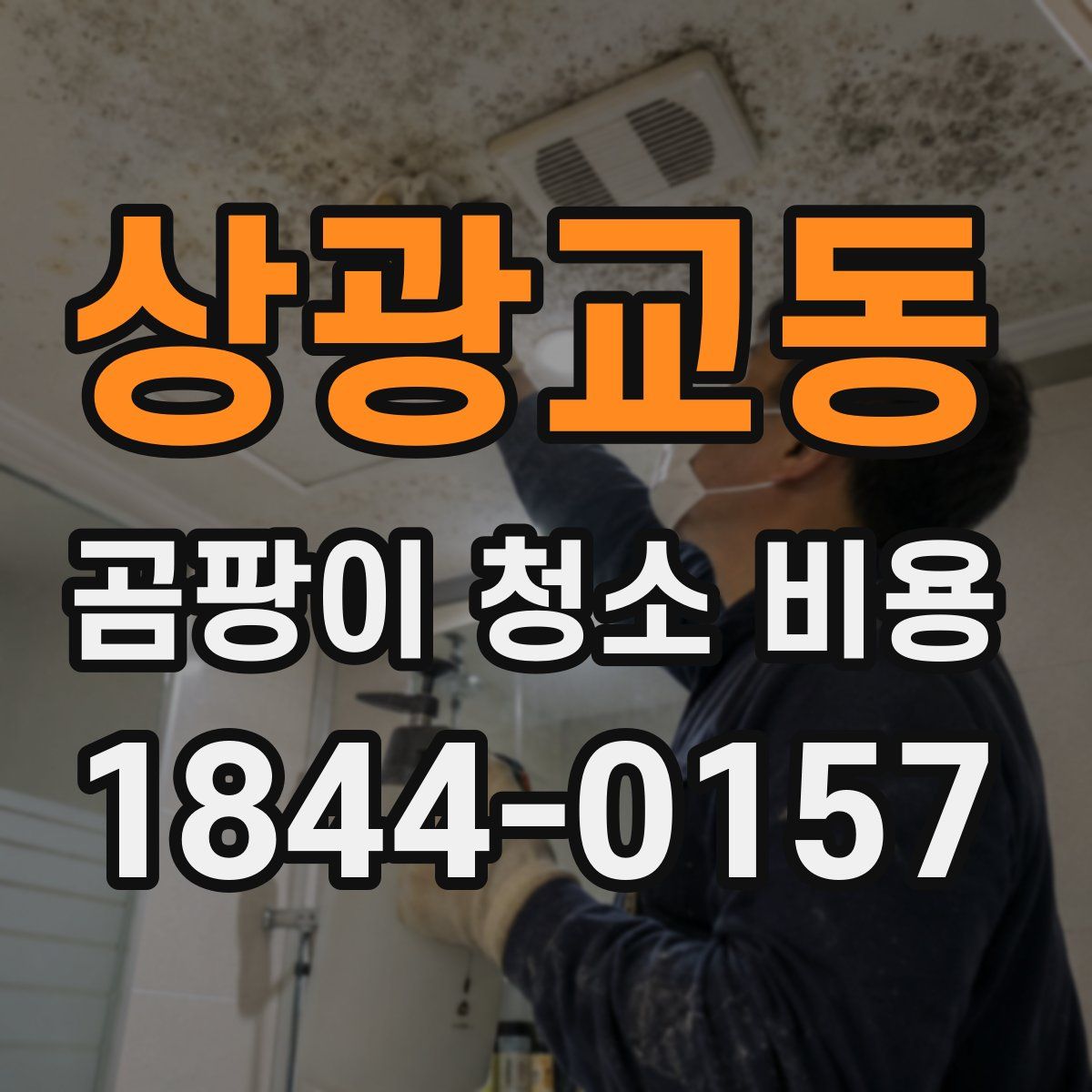 상광교동 곰팡이 청소 비용