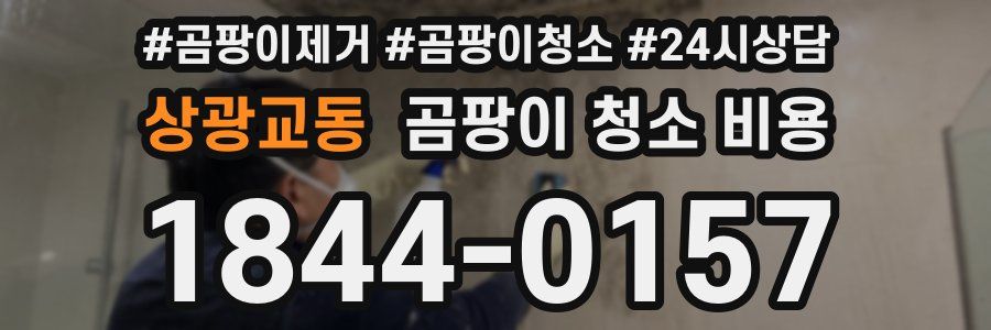 상광교동 곰팡이 청소 비용