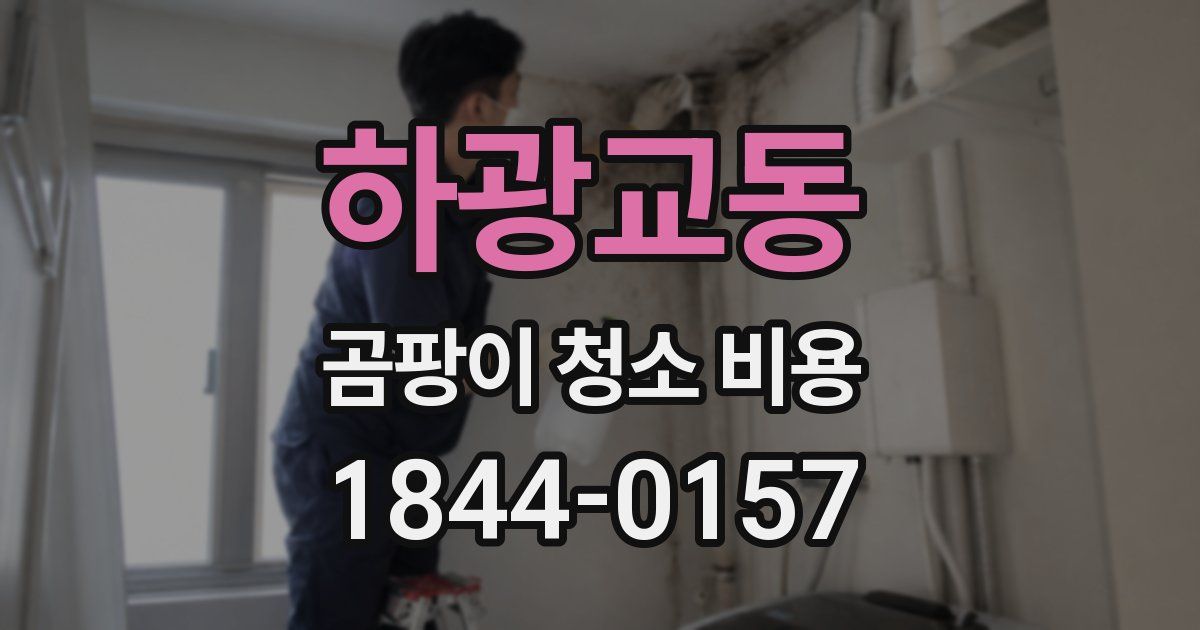 하광교동 곰팡이 청소 비용