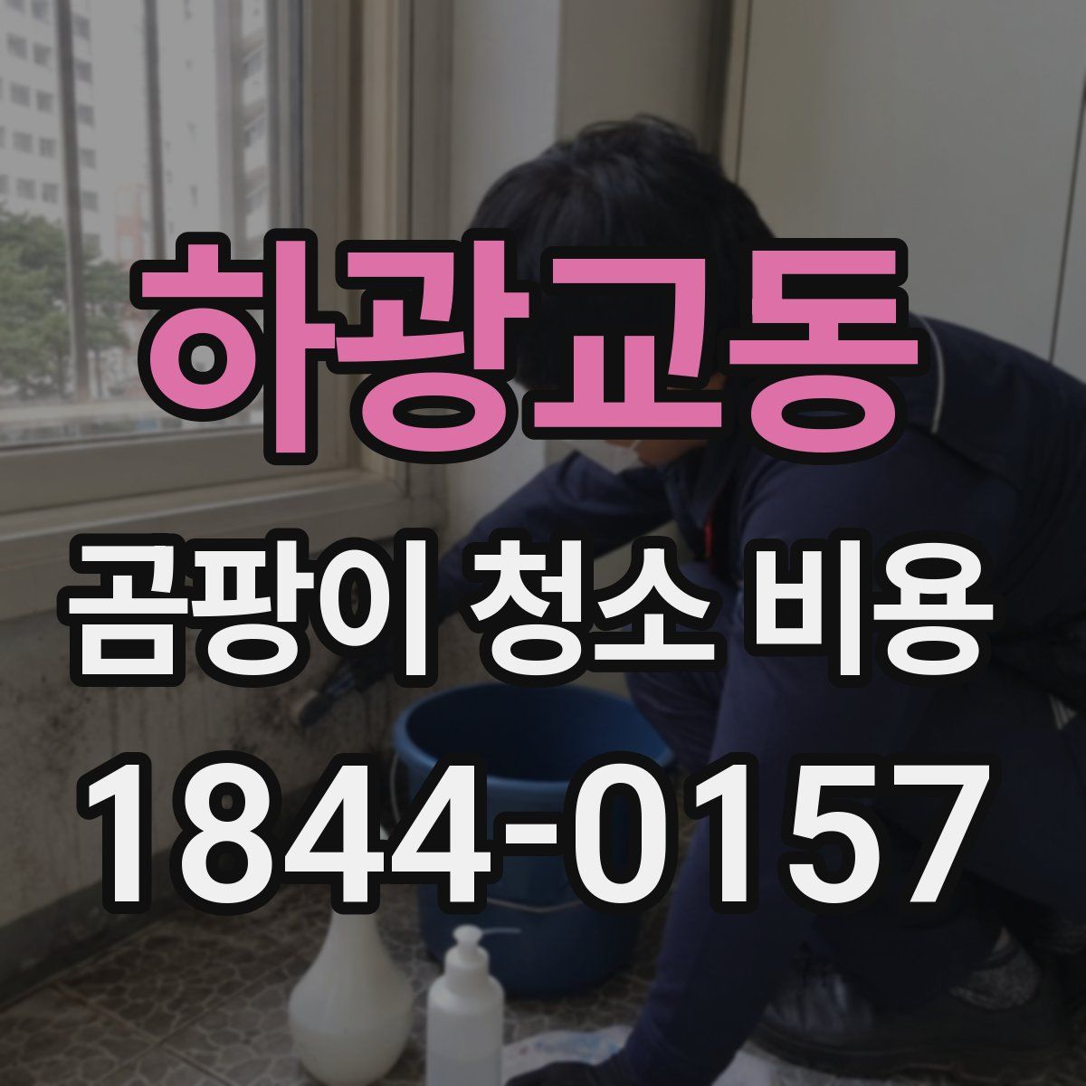 하광교동 곰팡이 청소 비용