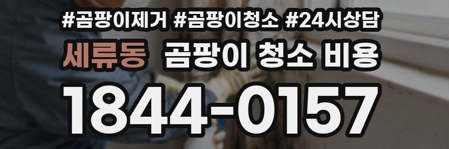 세류동 곰팡이 청소 비용