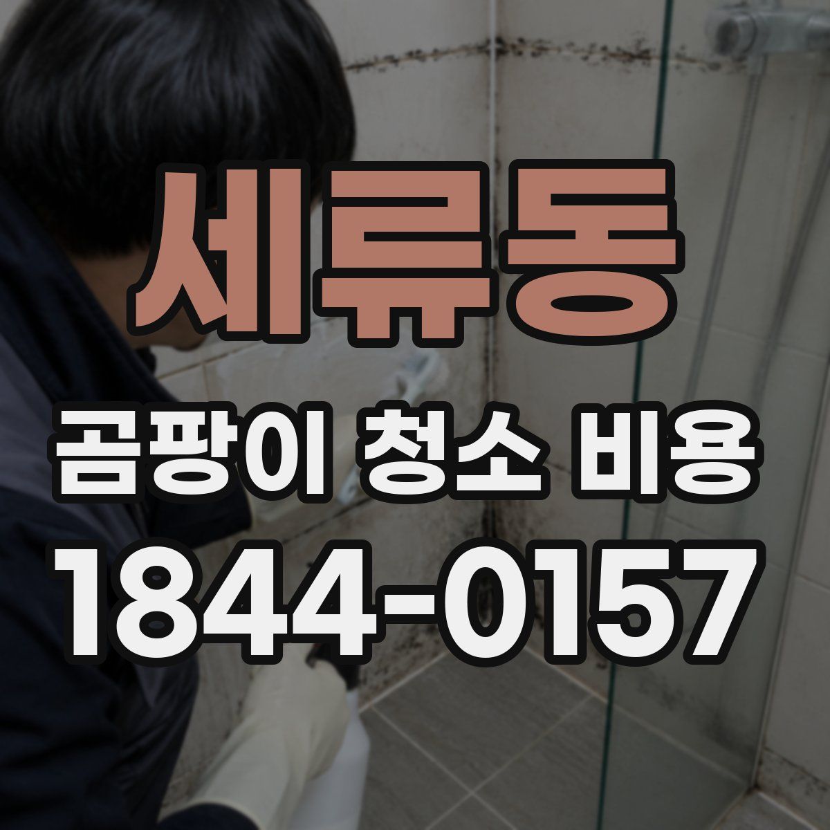 세류동 곰팡이 청소 비용