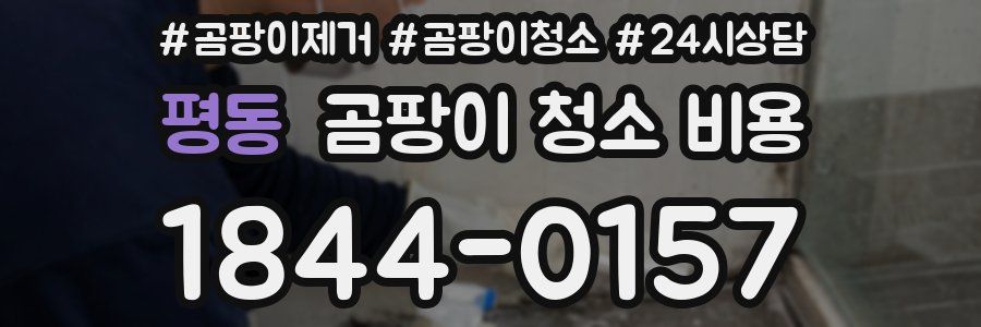 평동 곰팡이 청소 비용