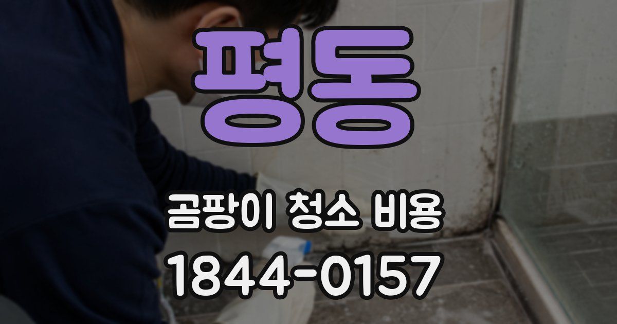 평동 곰팡이 청소 비용