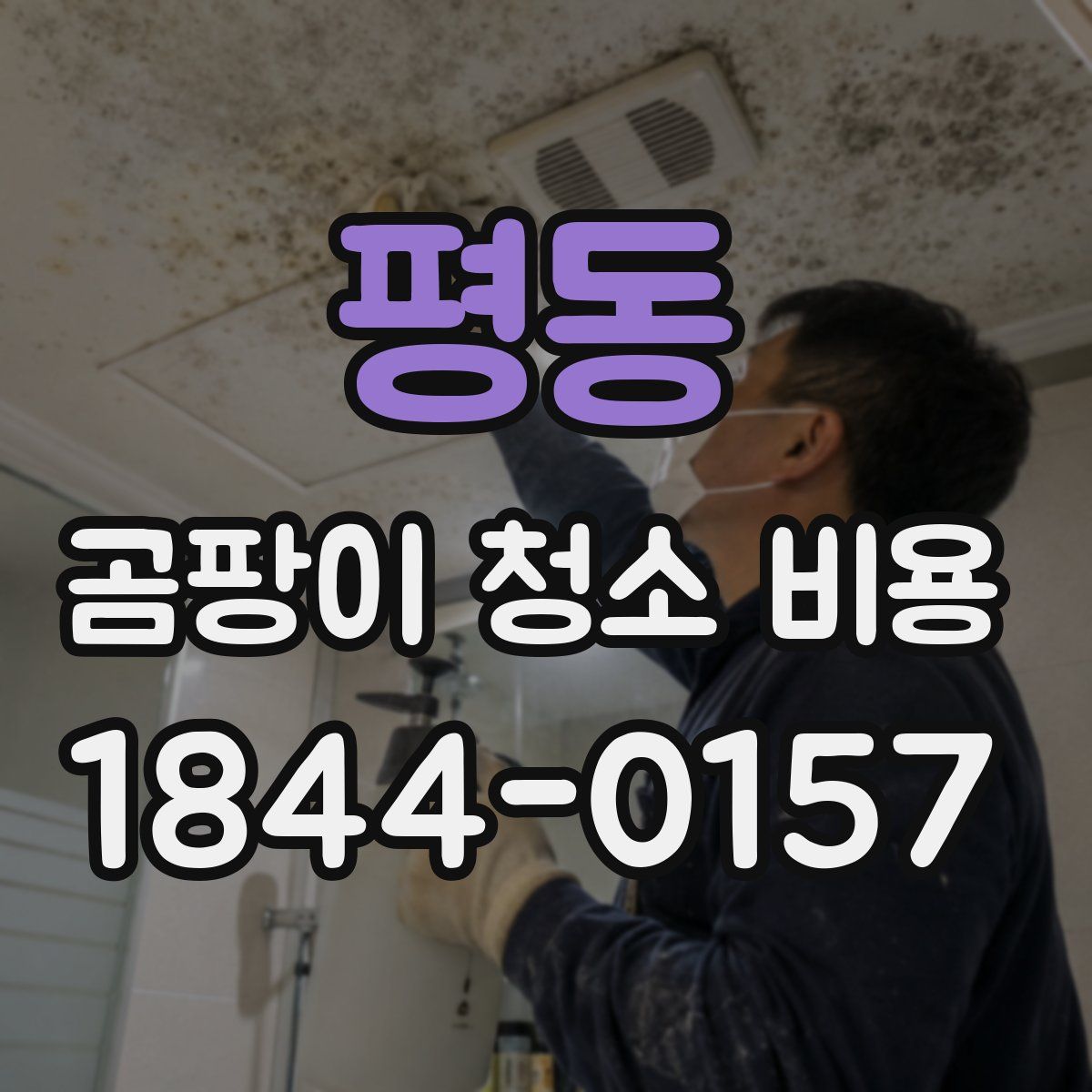 평동 곰팡이 청소 비용