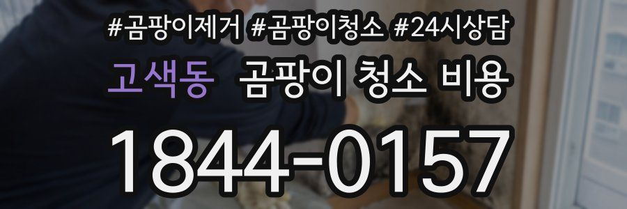 고색동 곰팡이 청소 비용