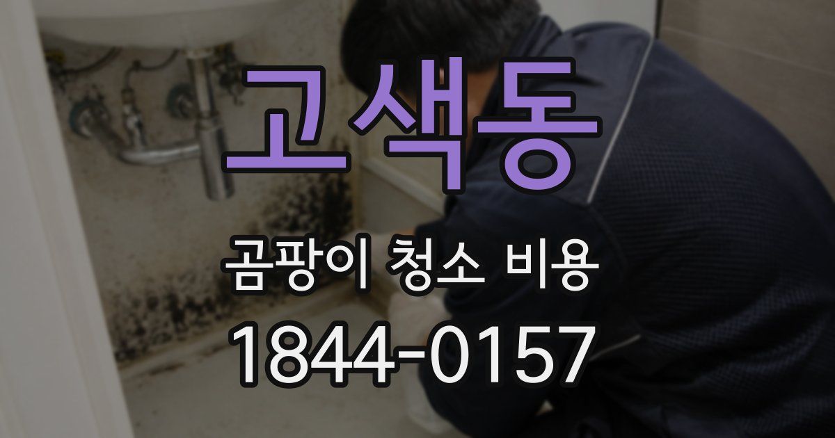 고색동 곰팡이 청소 비용