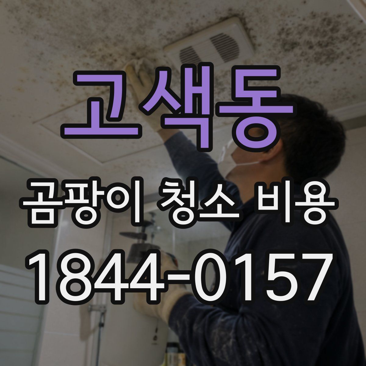 고색동 곰팡이 청소 비용