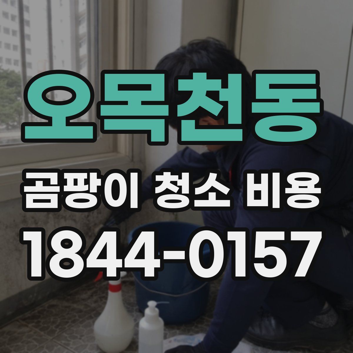 오목천동 곰팡이 청소 비용