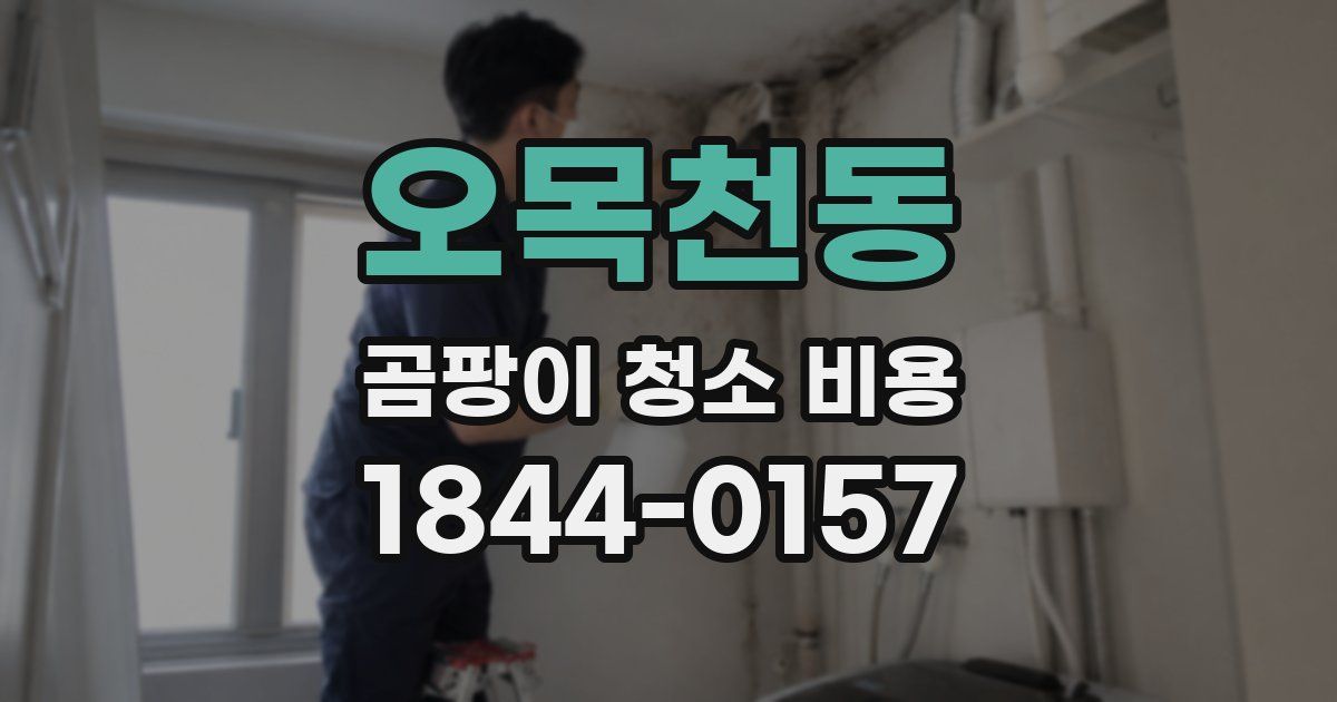 오목천동 곰팡이 청소 비용