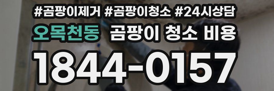 오목천동 곰팡이 청소 비용