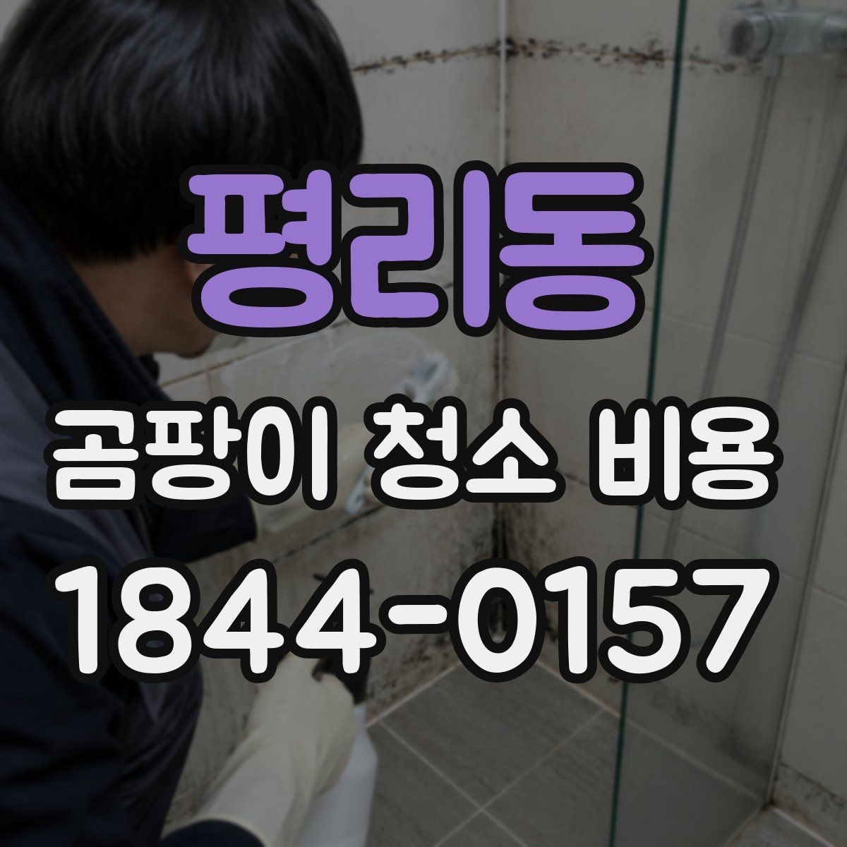평리동 곰팡이 청소 비용
