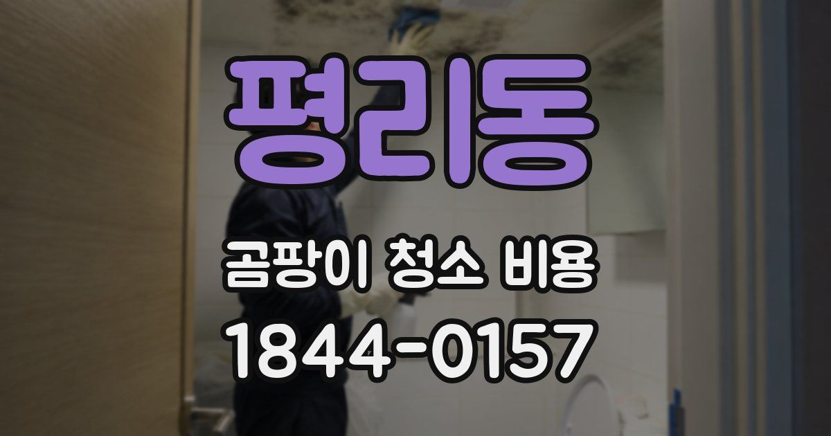 평리동 곰팡이 청소 비용
