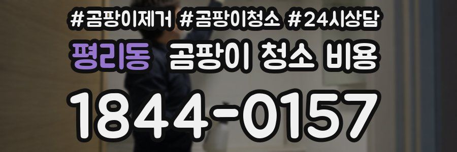 평리동 곰팡이 청소 비용