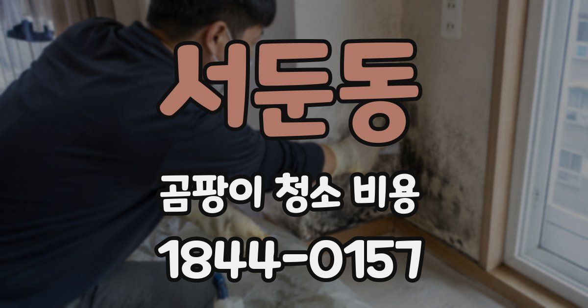서둔동 곰팡이 청소 비용