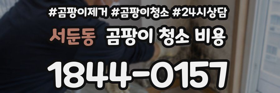 서둔동 곰팡이 청소 비용