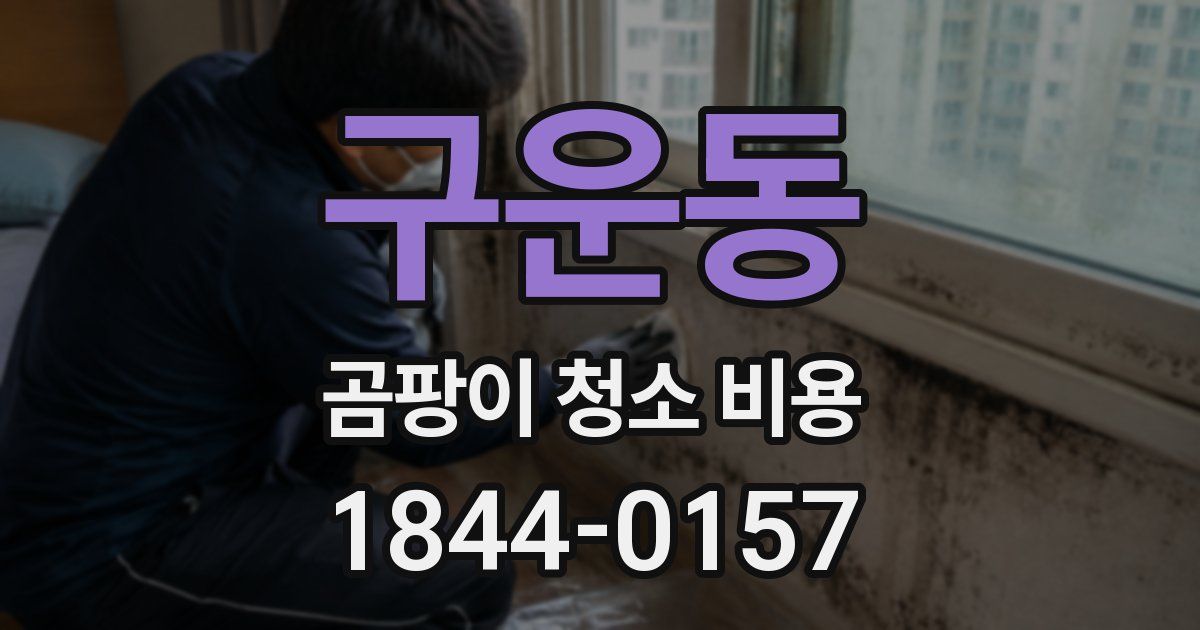 구운동 곰팡이 청소 비용