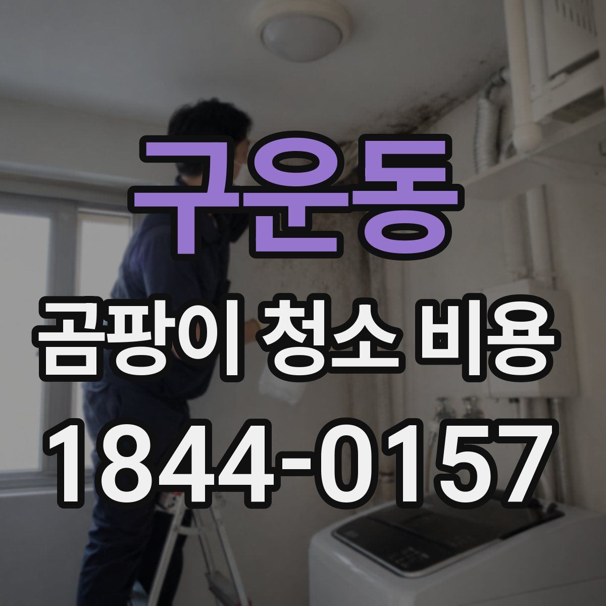 구운동 곰팡이 청소 비용