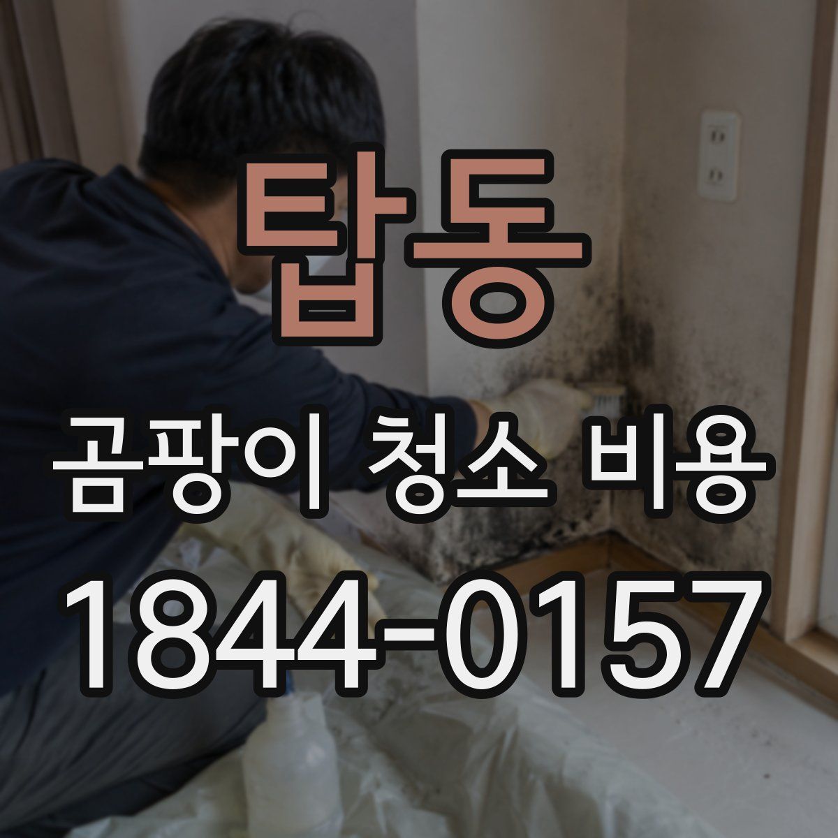 탑동 곰팡이 청소 비용