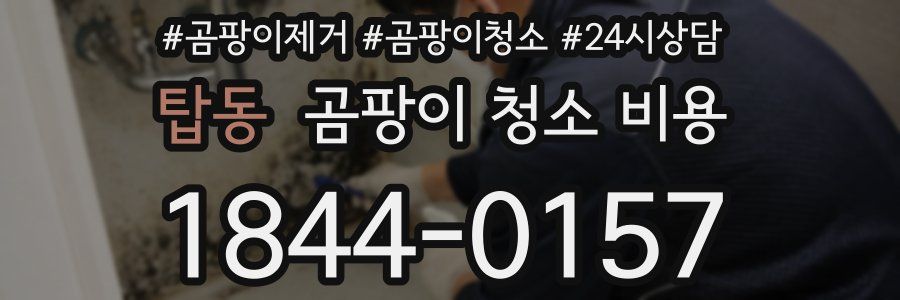 탑동 곰팡이 청소 비용