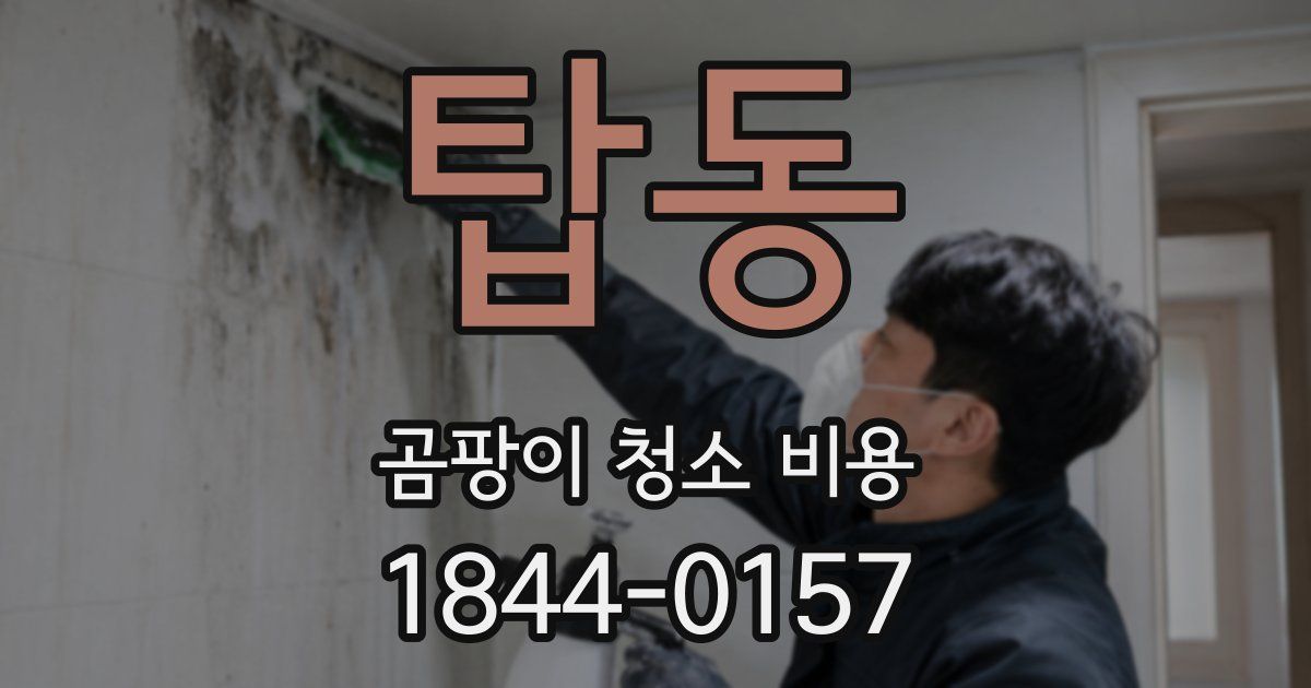 탑동 곰팡이 청소 비용