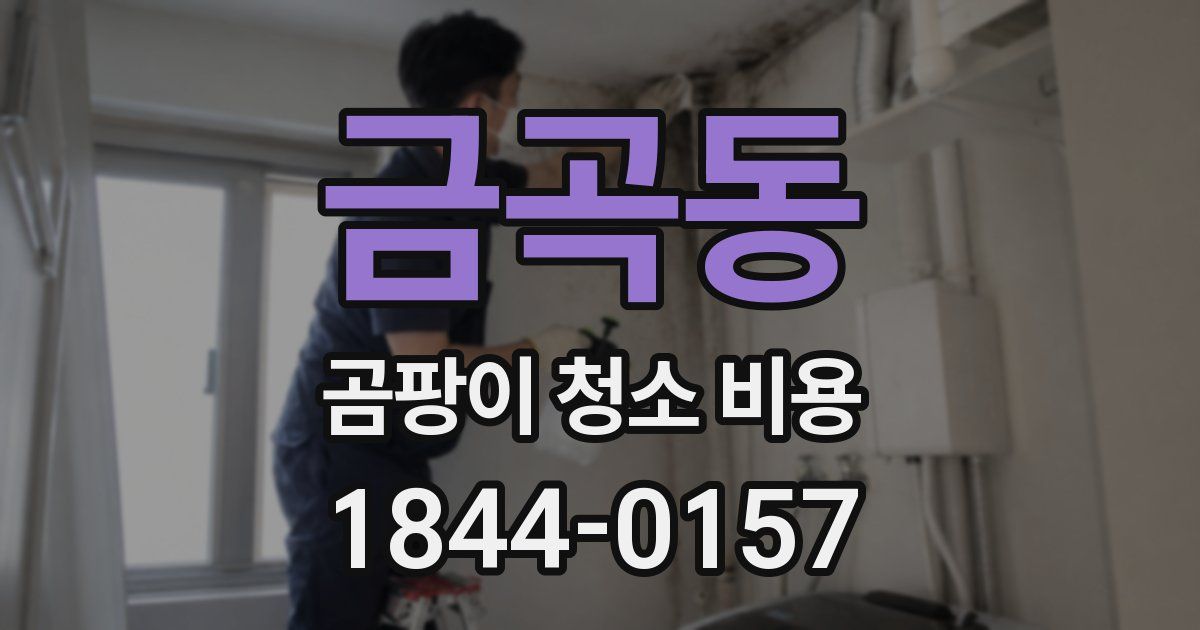 금곡동 곰팡이 청소 비용