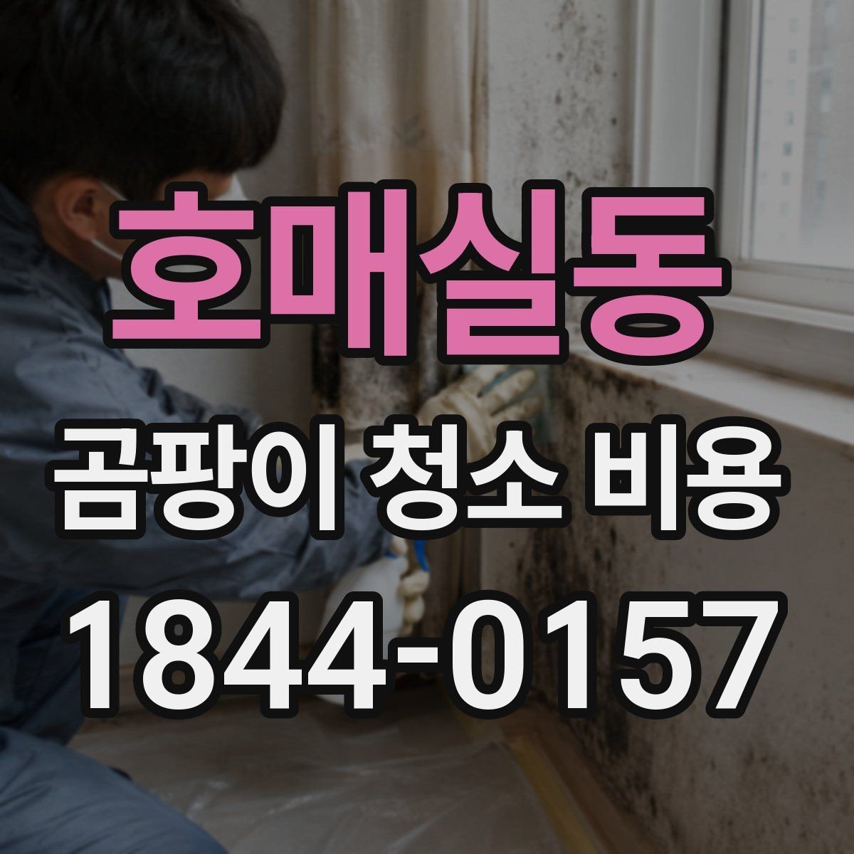 호매실동 곰팡이 청소 비용 습기와 냄새가 함께 날 때 확인할 점