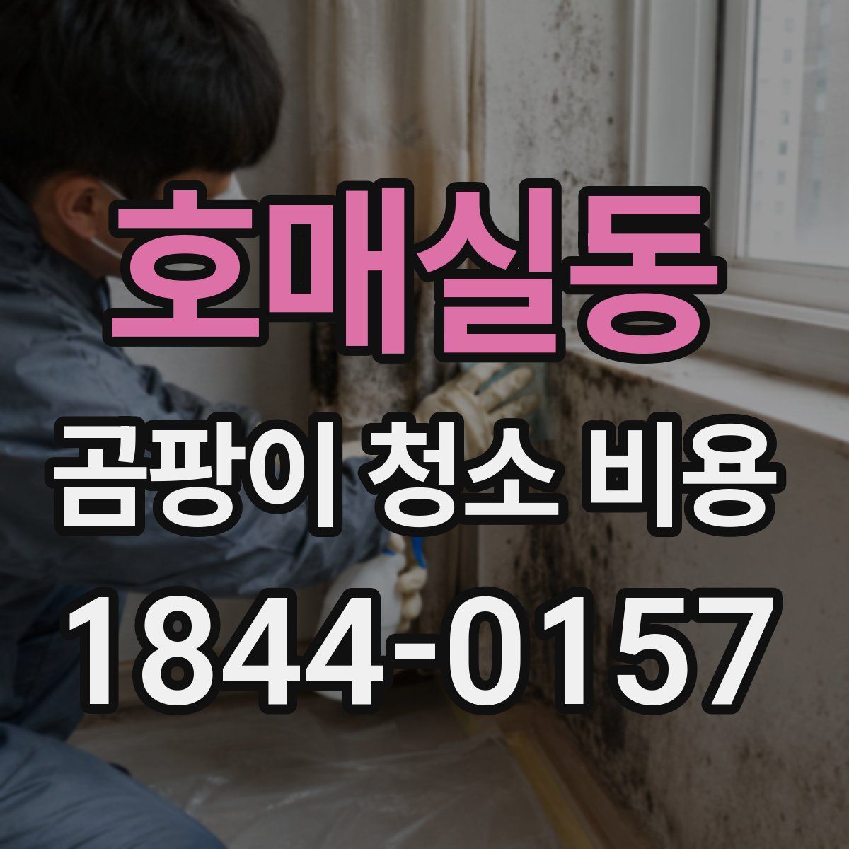 호매실동 곰팡이 청소 비용